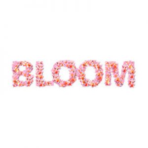 Bloom Fashion