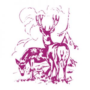 De Larense Wildhandel C. van de Bor