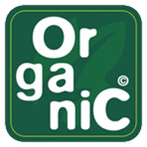 Organic Food for You